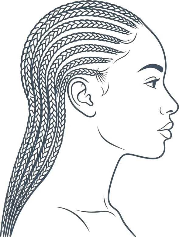 Line illustration of a head with cornrow braids